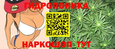 эйфоретик Будённовск