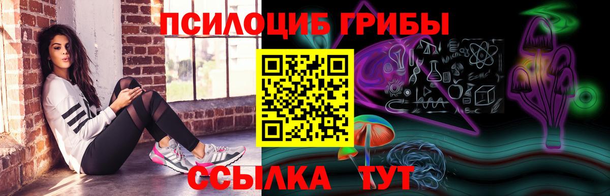Псилоцибиновые грибы мицелий Протвино