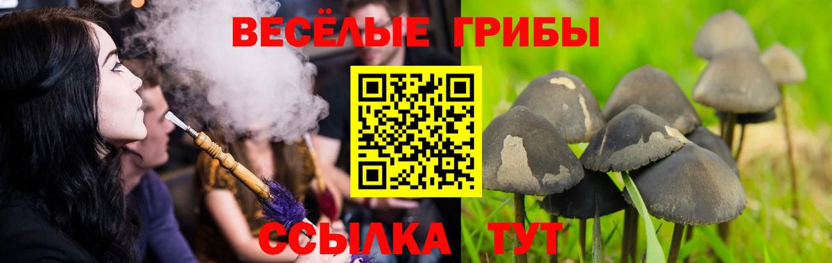 Протвино  Галлюциногенные грибы ЛСД  Вход с VPN  Псилоцибиновые грибы Psilocybe 